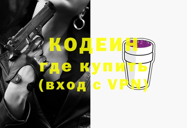 хмурый Алзамай