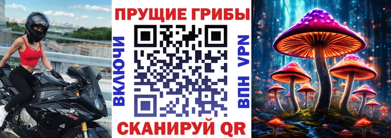 мега ссылки  Петушки  Галлюциногенные грибы мухоморы  где найти наркотики 